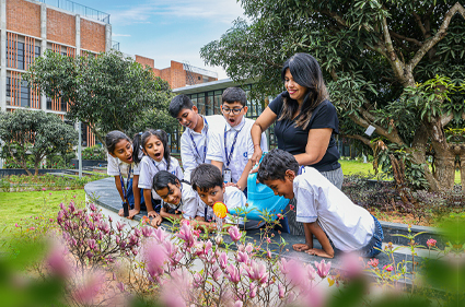 From Traditional to Student-Centered: A Teacher's Journey 